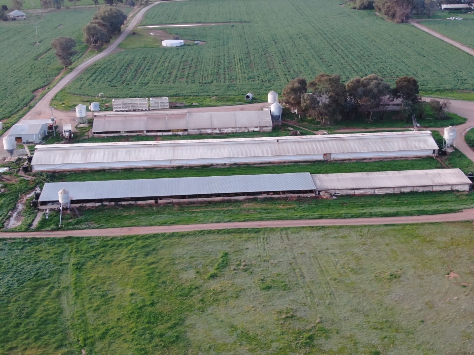 Drone flyover of piggery a piggery in Victoria