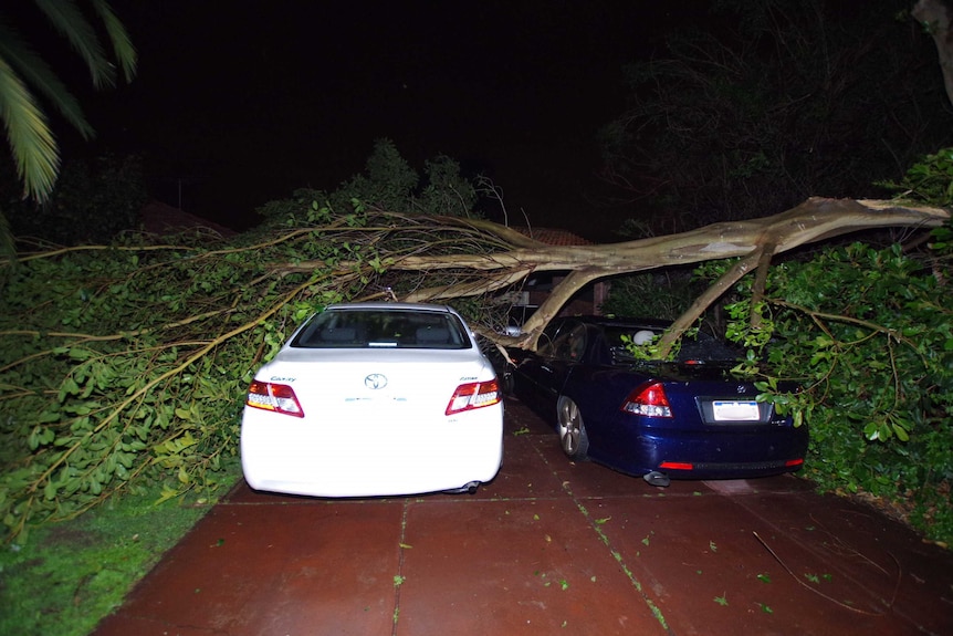 A tree has fallen on two cars in the driveway of a home. a branch has gone through the window of one.