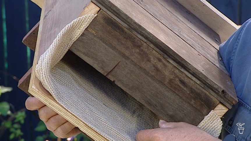 A timber bat box
