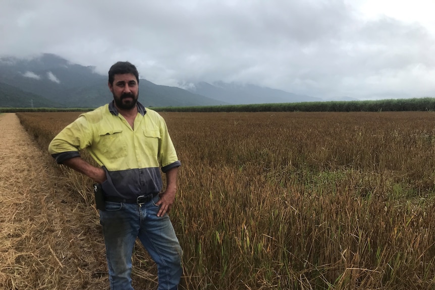 Man standing in front of rice crop and mountains