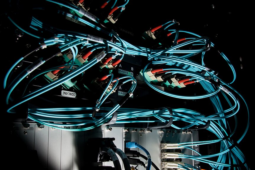 Blue ethernet cables tied together and connected to ports at the back of a server rack.