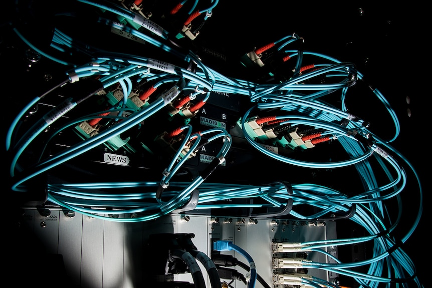 Blue ethernet cables tied together and connected to ports at the back of a server rack.