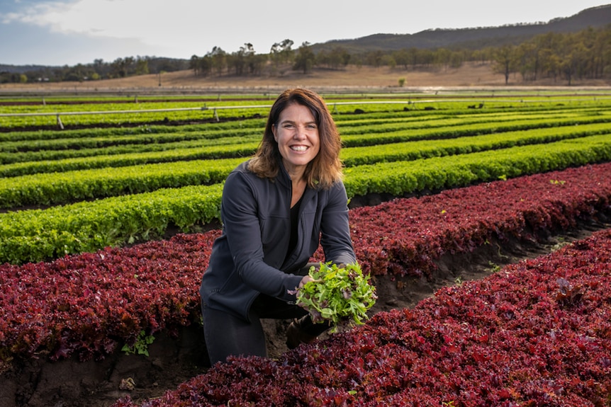 Woman kneels down amongst rows of green and red lettuce.  She smiles at the camera holding loose lettuce leaves in her hands.