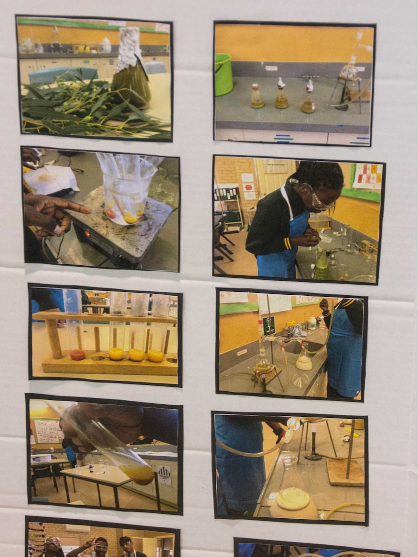 Images of school students working to distil ethanol from native plants.