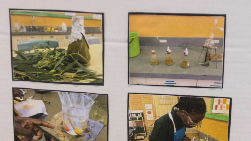 Images of school students working to distil ethanol from native plants.