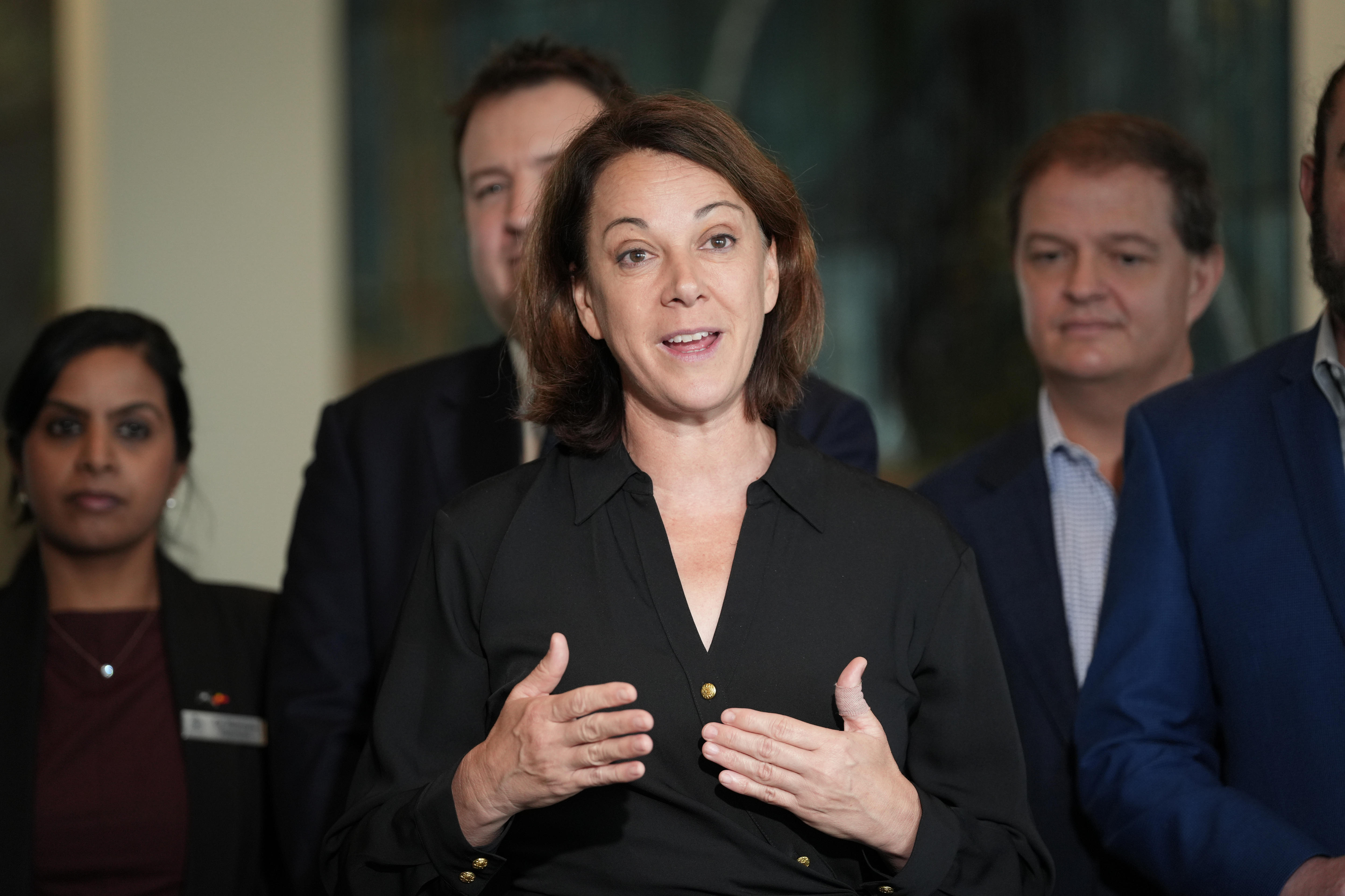 Crossbench push to give Australians a free way to fight back against big tech