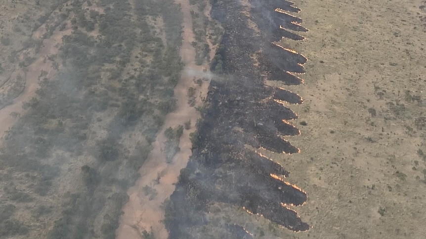 An aerial image of a line of burnt land next to a river