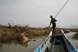 A boatman passes a cattle carcass south-west of Kunyangon in Burma.