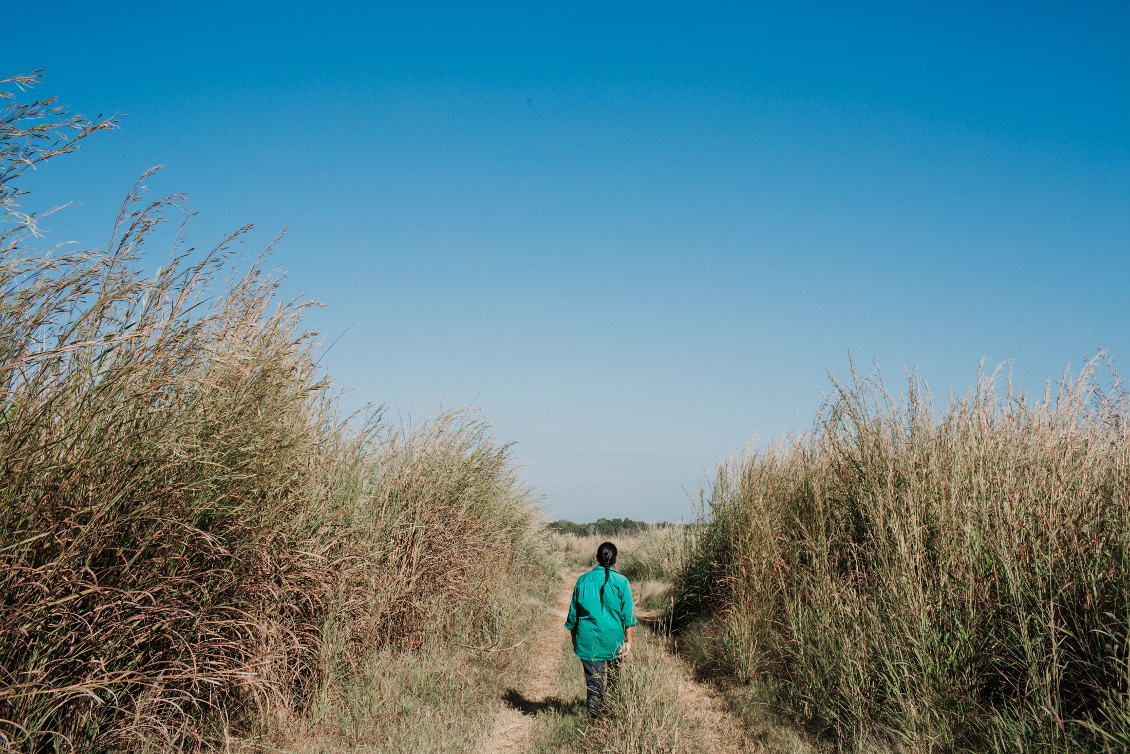 612bcf910bb20cdeadddc0702e988b8d?impolicy=wcms_crop_resize&cropH=1467&cropW=2200&xPos=0&yPos=0&width=862&height=575