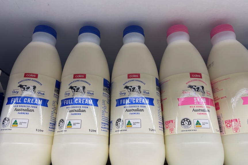 Mleko w plastikowych butelkach, siedzące na półce.