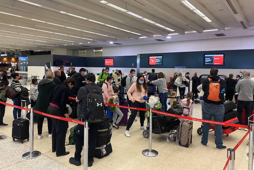 A long line of people queue to check-in for a flight.