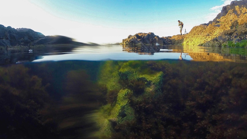 View half under, half above water, of a man, very small in frame, standing next to a rock pool.