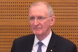 AMP's acting CEO Mike Wilkins appears at the banking royal commission on November 27, 2018.
