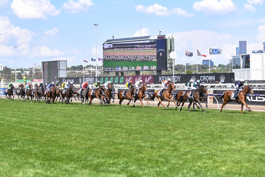 A line of horses pass the winning post at Flemington on the first circuit of the Melbourne Cup, with a big screen in background.