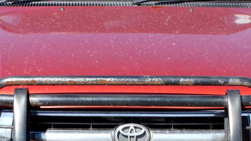 A bullbar on the front of a car