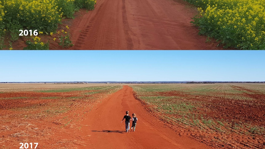 Now and then: Mullewa