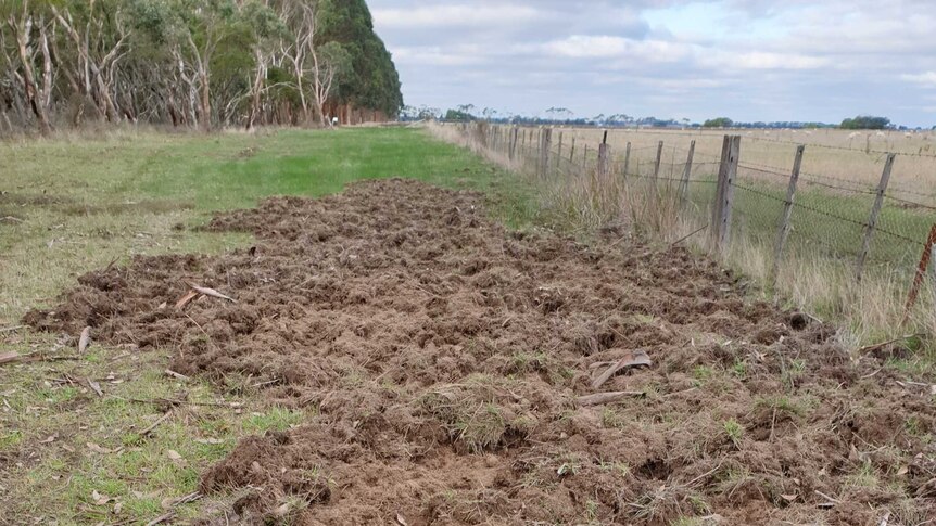 A section of a paddock that looks like it's been ploughed.
