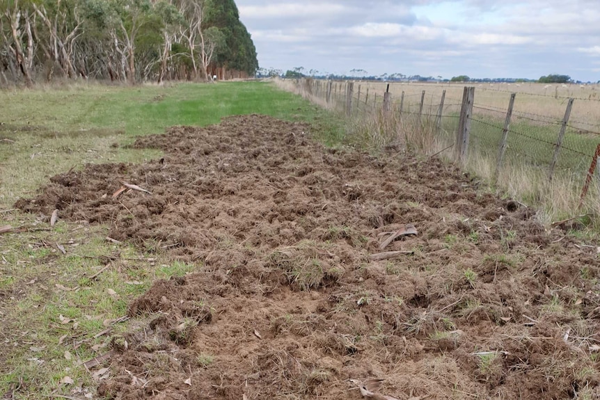 A section of a paddock that looks like it's been ploughed.