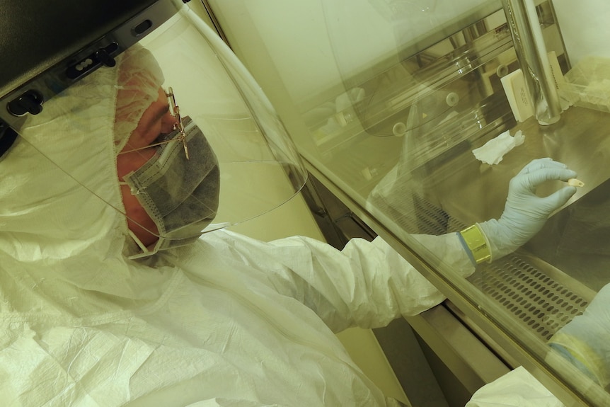 A woman wearing protective gear holding a deer tooth pendant in a laboratory