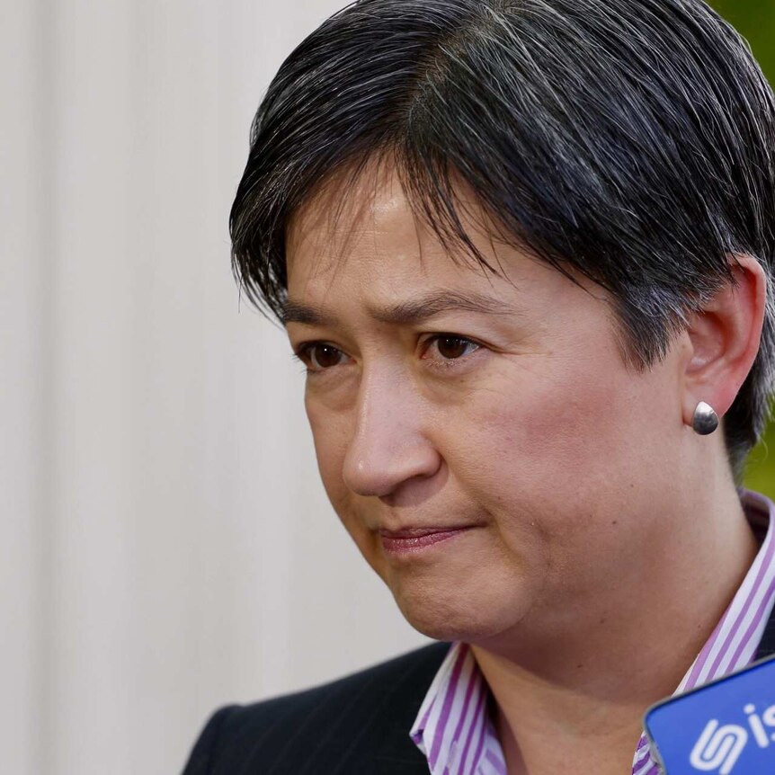 Penny Wong talks to reporters at a doorstop in Canberra