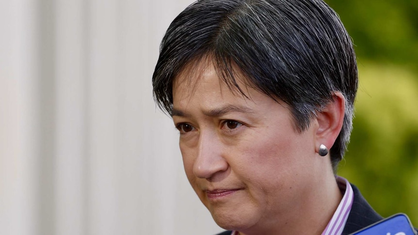 Penny Wong talks to reporters at a doorstop in Canberra