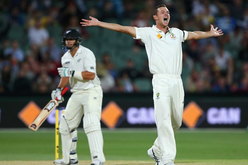 Josh Hazlewood appeals for Ross Taylor's wicket