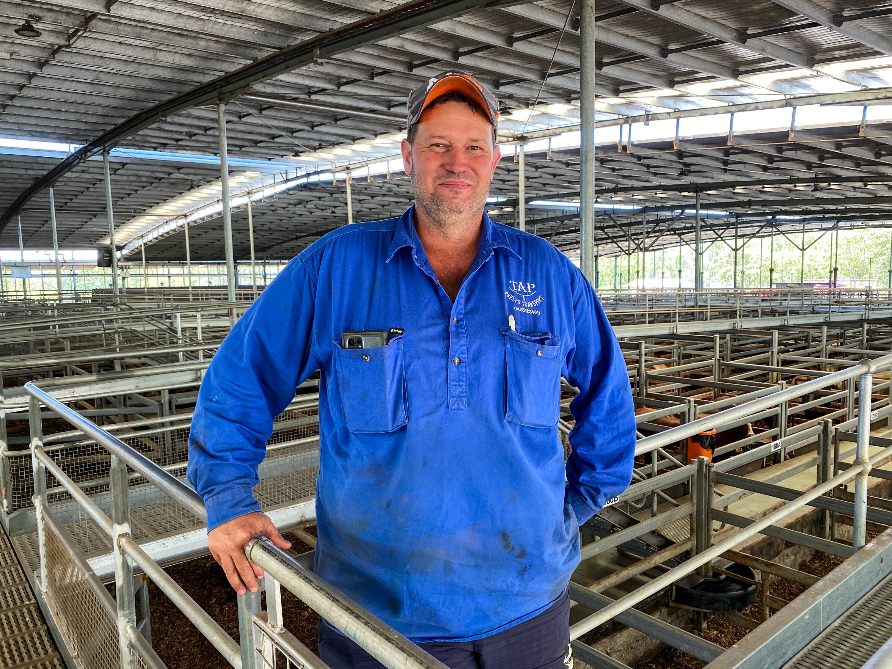 A man wearing a blues shirt and cap stands in a saleyard.
