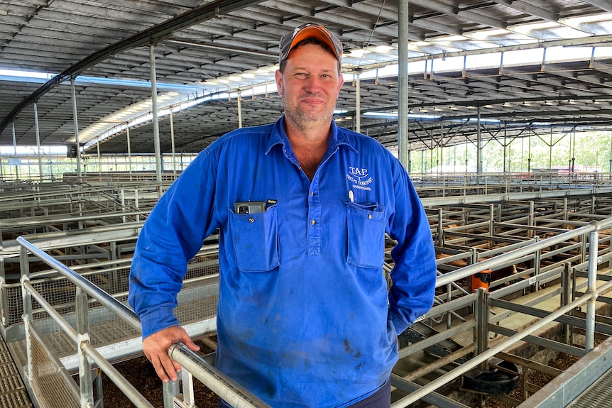 A man wearing a blues shirt and cap stands in a saleyard.