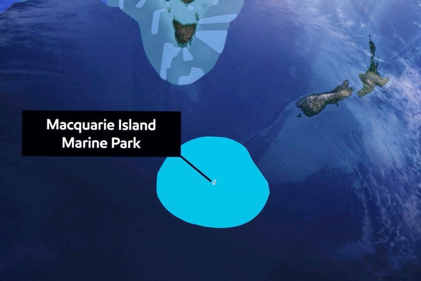 Diagram showing a map of Tasmania and New Zealand and a large blue circle titled: Macquarie Island Marine Park