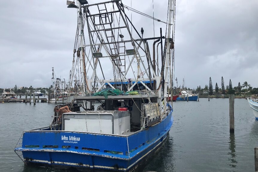 A large seafood trawler at a dock
