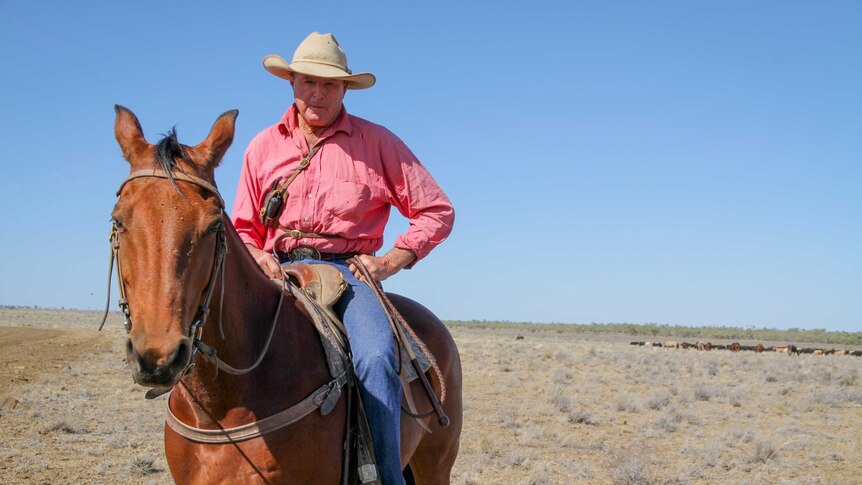 Billy Little sits on his horse as he droves his cattle