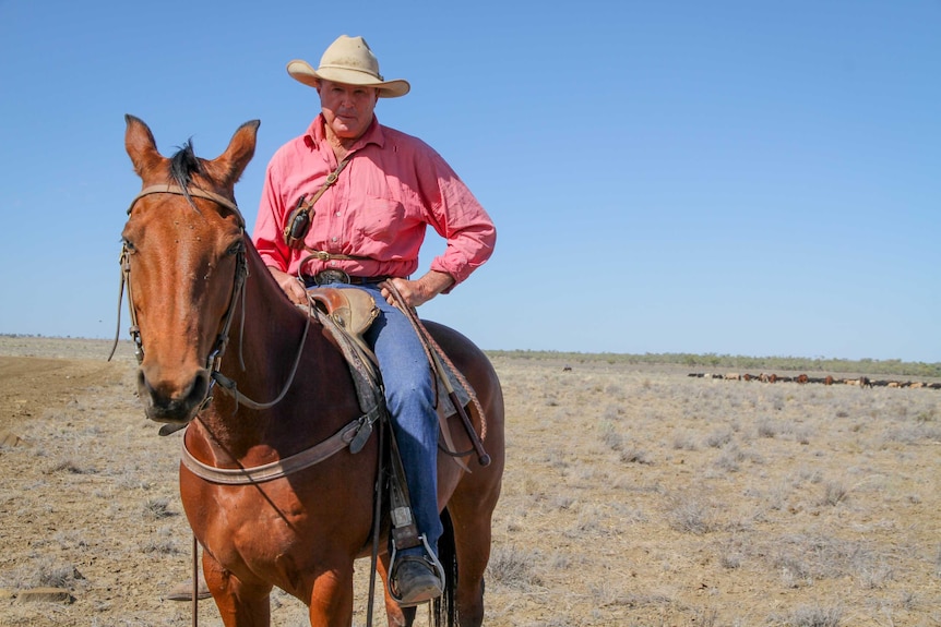 Billy Little sits on his horse as he droves his cattle