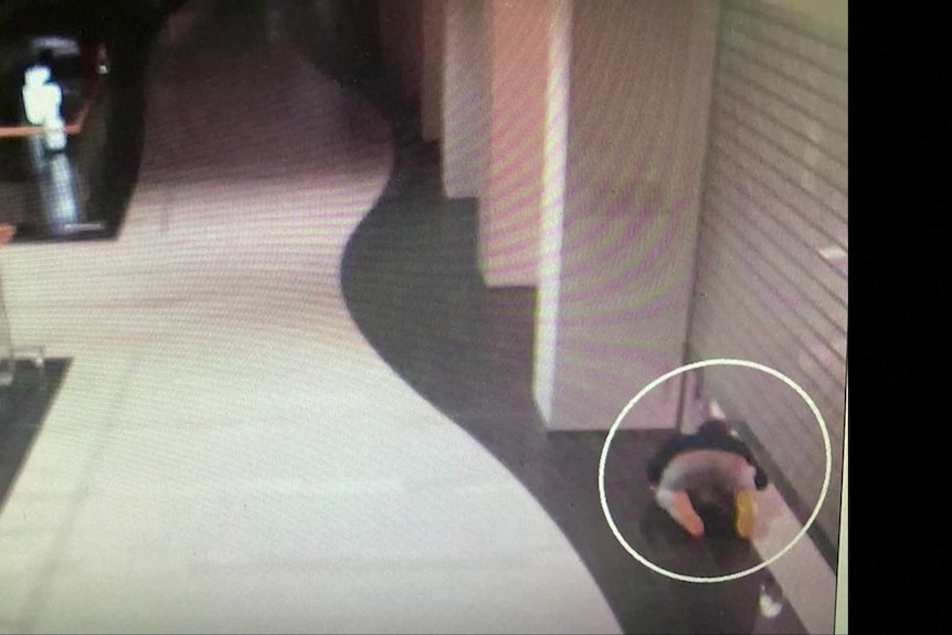 The man is seen climbing under a roller door in the shopping centre after it had closed.