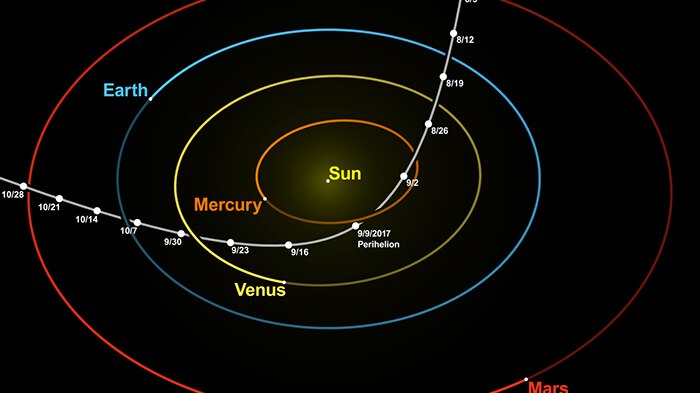 Illustration of the path taken by Oumuamua