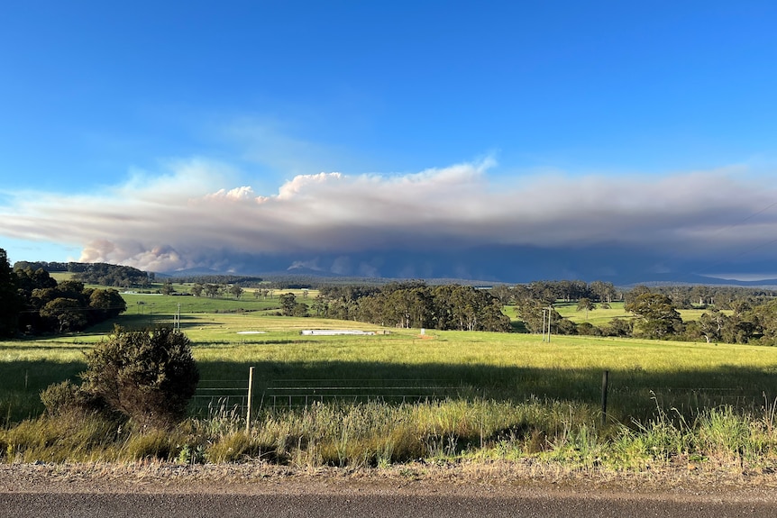 Smoke over green land.