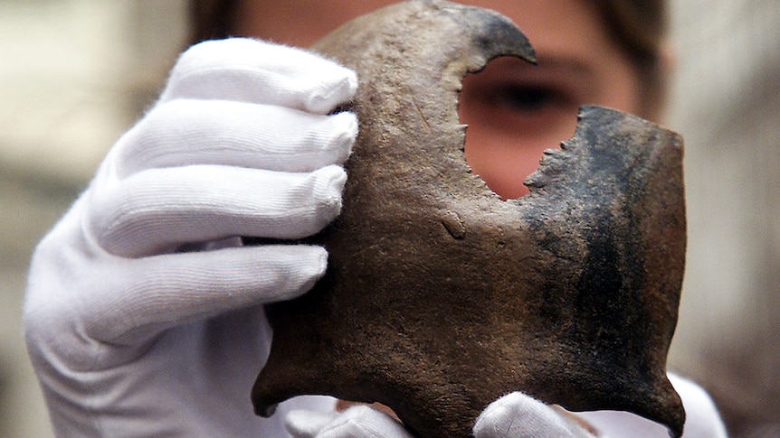 A woman holds a skull with a hole in it.