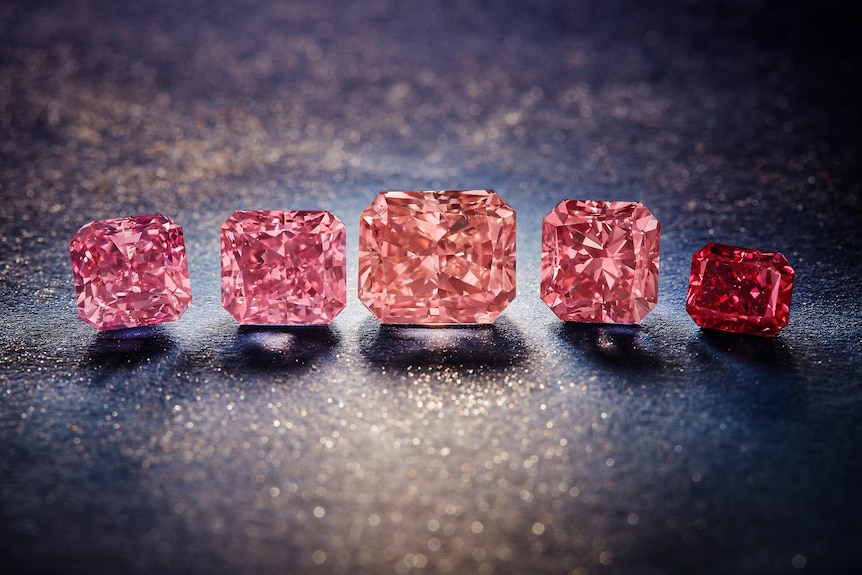 2021年阿盖尔粉钻接受竞标的五颗主角钻石。
