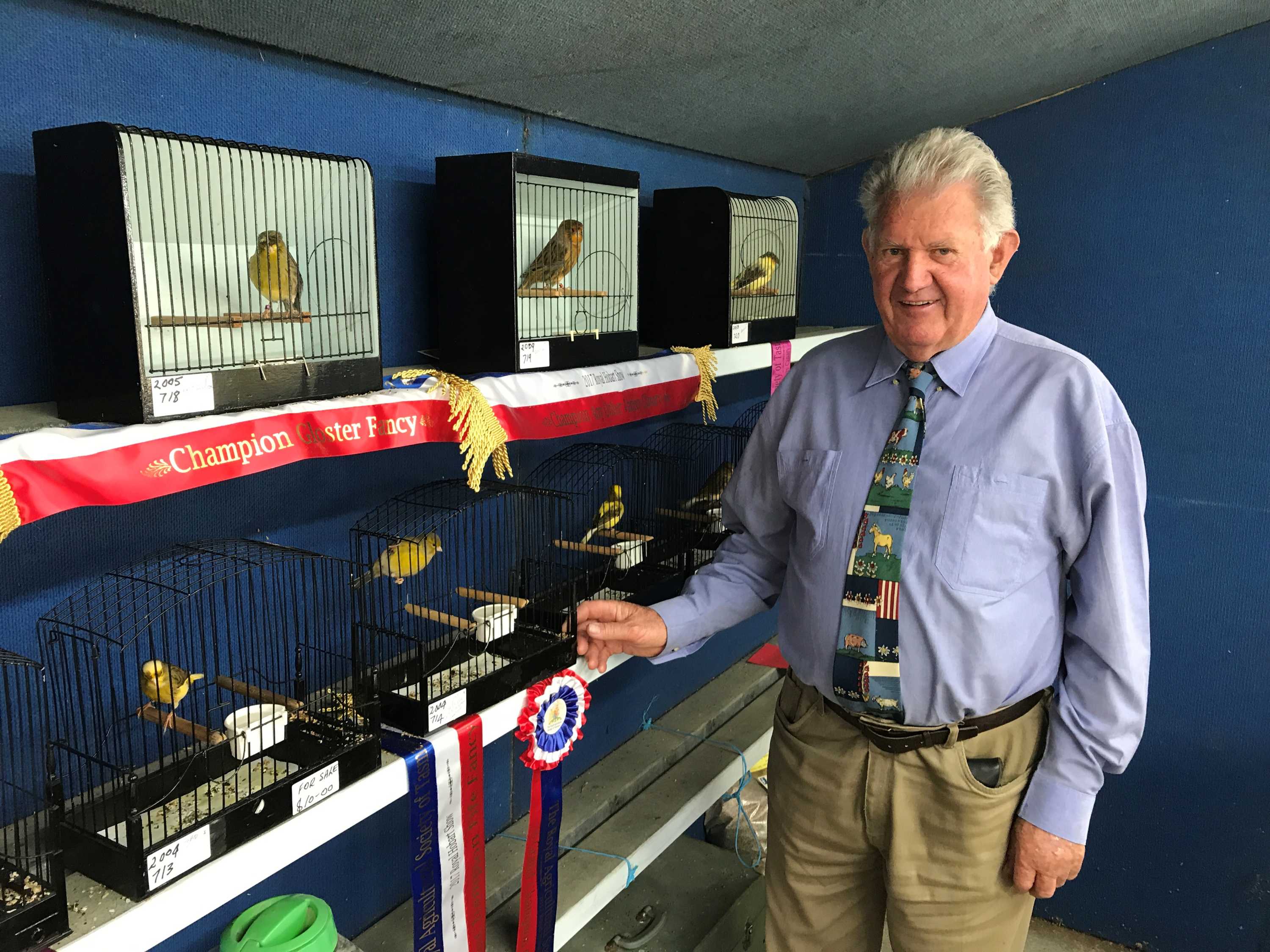 What makes a top bird? - ABC listen