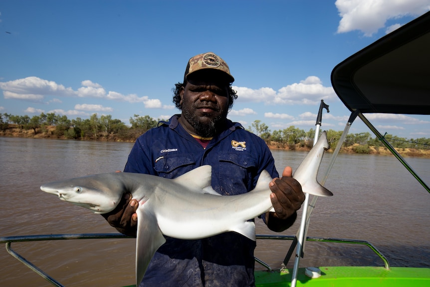 Ranger with speartooth shark