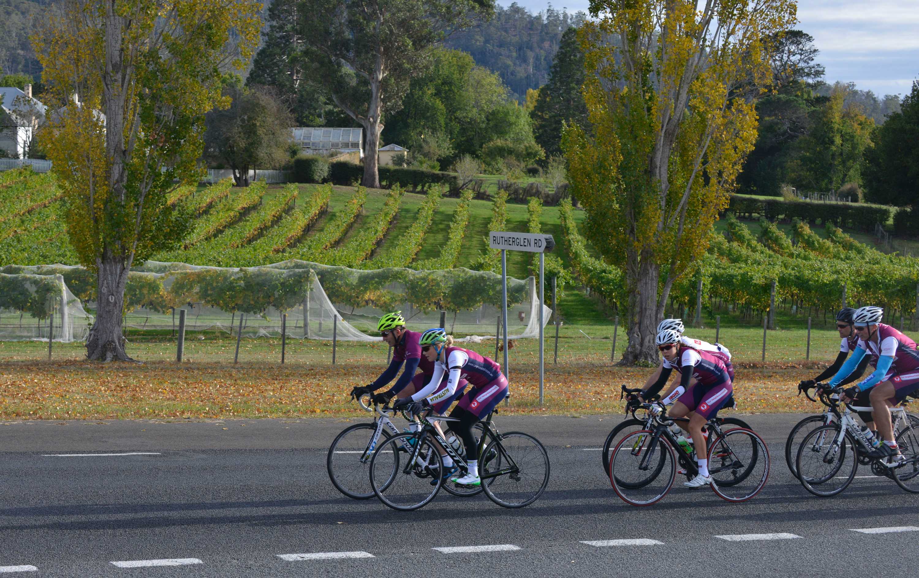 Pollie Pedal 2015 finishes, money raised to benefit Australia's carers ...