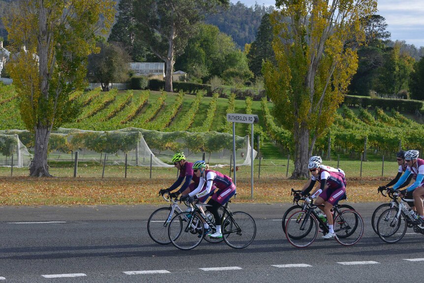 Prime Minister Tony Abbott leads the pack in the 2015 Pollie Pedal in Tasmania.