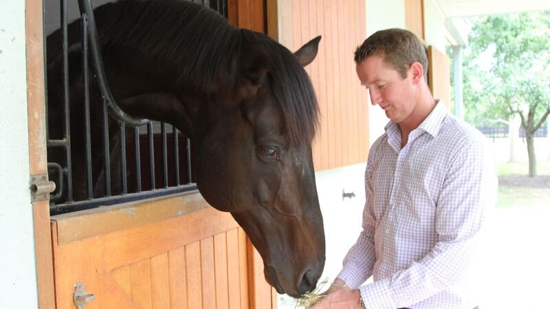 Pierro is offered some hay as he leans out of his stable.