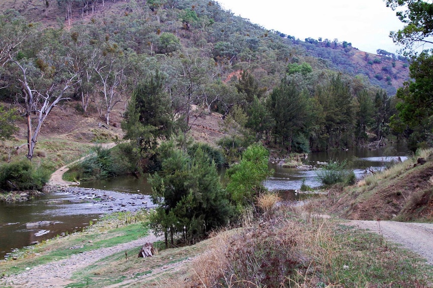 A bushy hillside with a river running along its base.