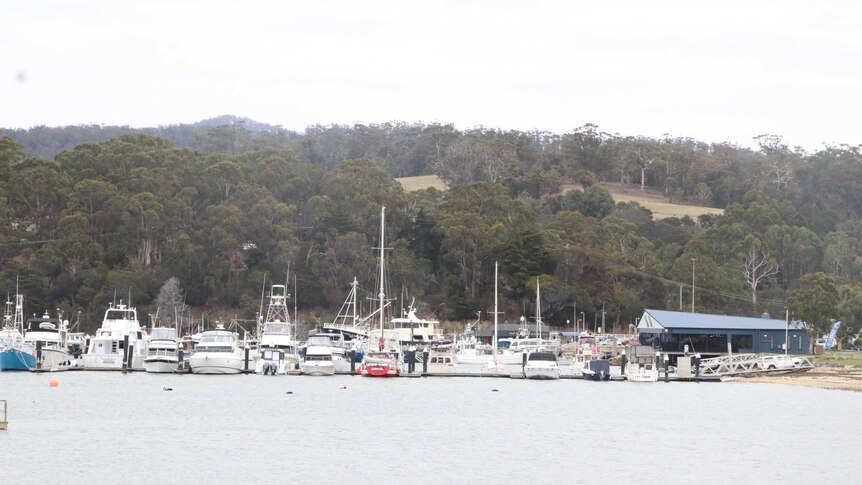 Boats on the waterfront at St Helens, Tasmania