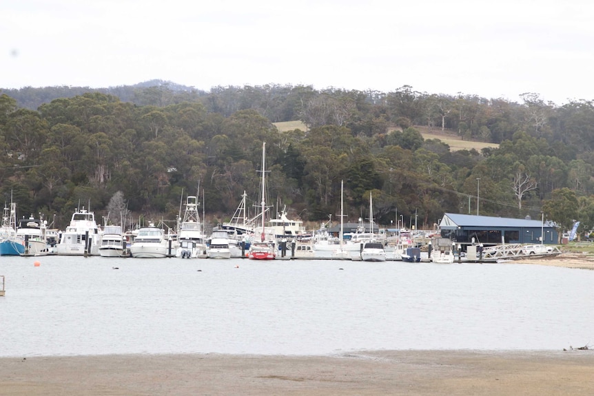 Boats on the waterfront at St Helens, Tasmania