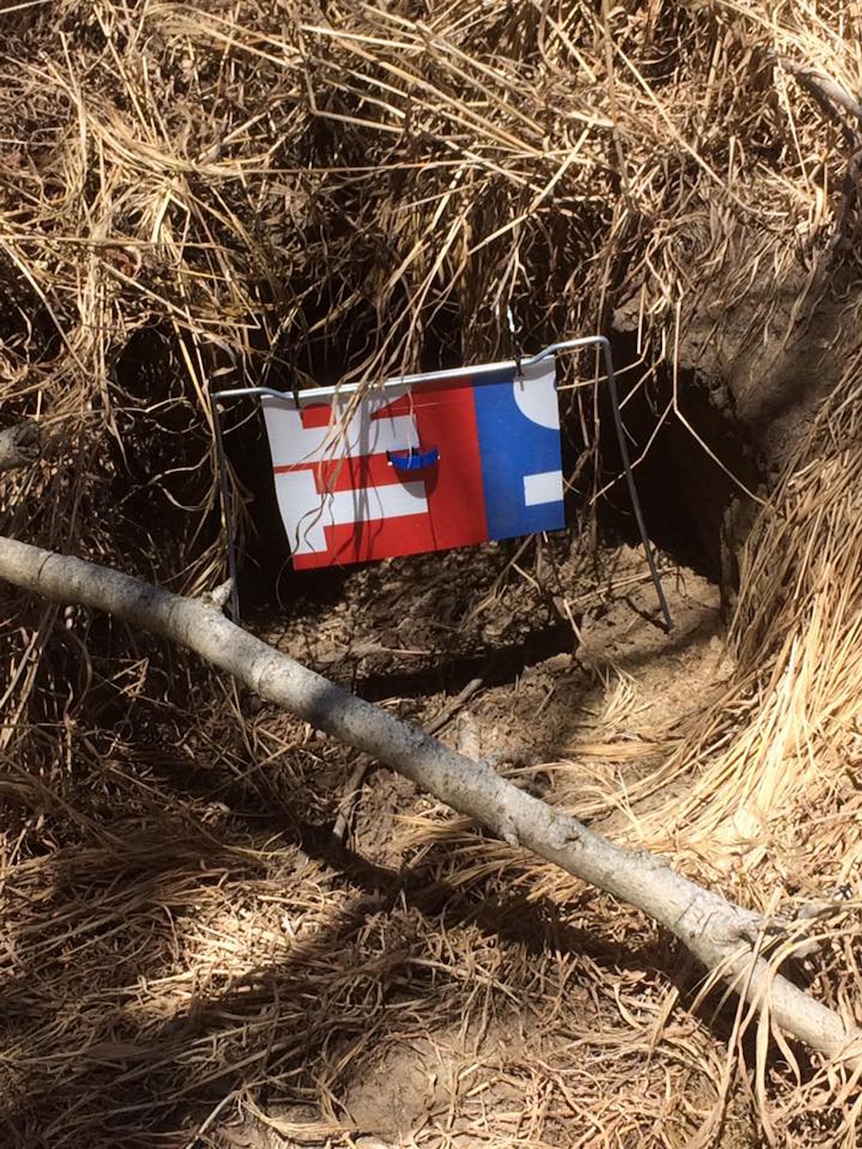 Election corflute down a wombat burrow