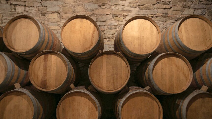 A close shot of 13 large brown barrels of wine stacked in a cellar in France.