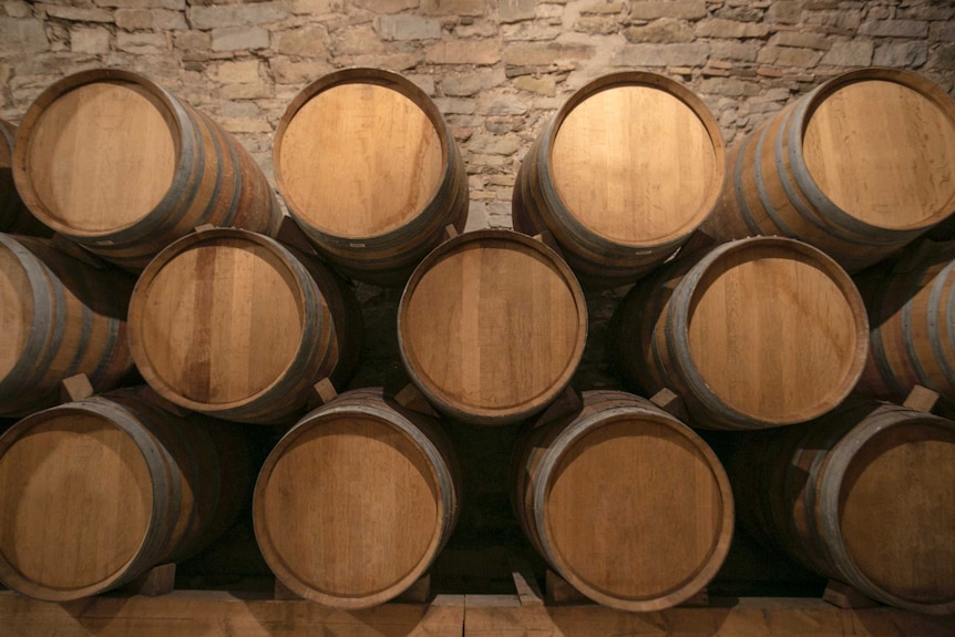 A close shot of 13 large brown barrels of wine stacked in a cellar in France.