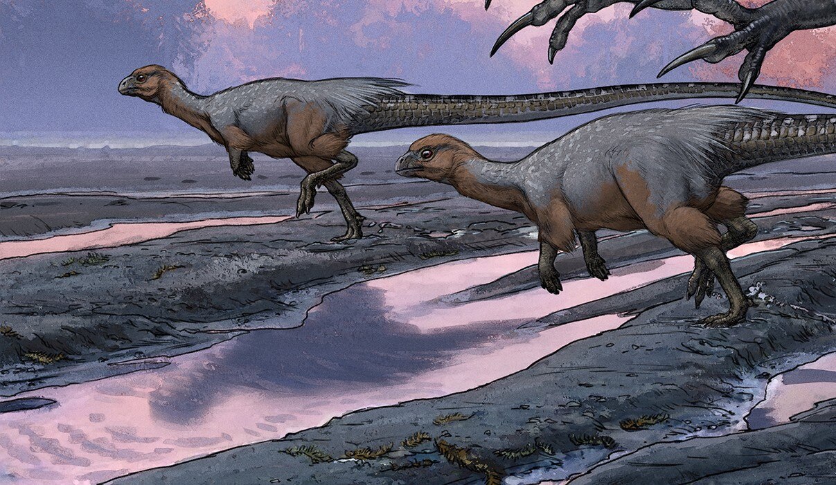 Artist's impression of two smaller dinosaurs being hunted.