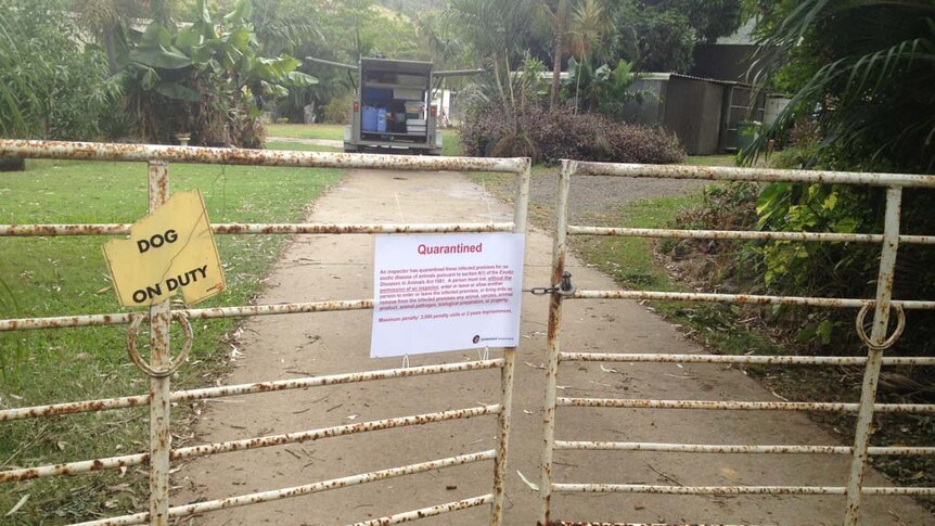 Property quarantined after Hendra virus outbreak